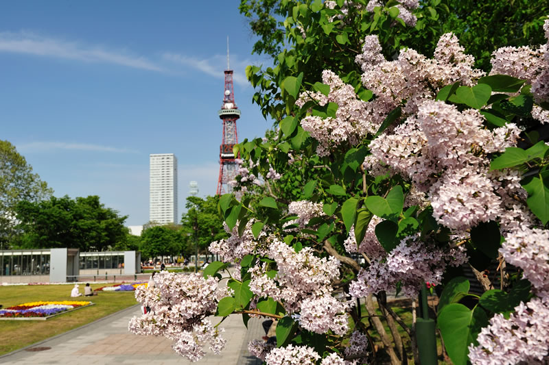 札幌大通り公園