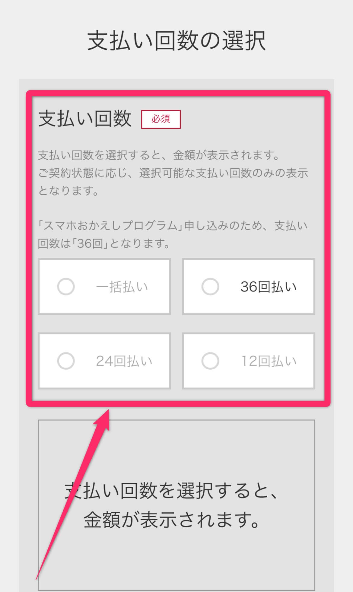 支払い回数を選択