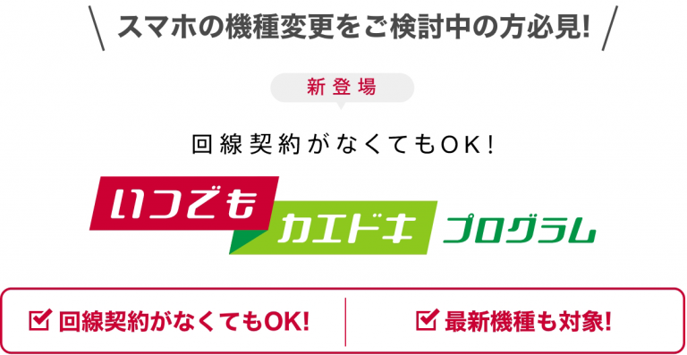 いつでもカエドキプログラムとは？