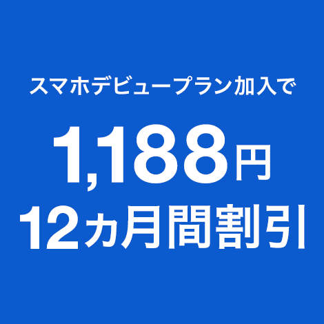 1年おトク割+