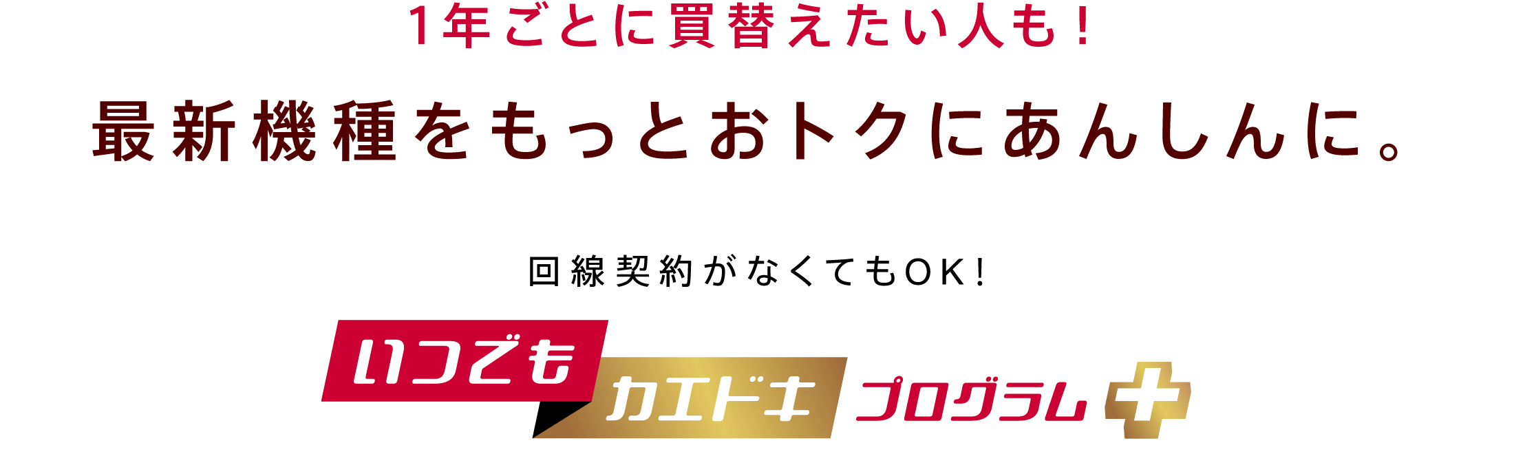 いつでもカエドキプログラム+