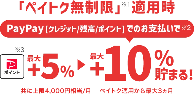 ペイしてトクトクキャンペーン2