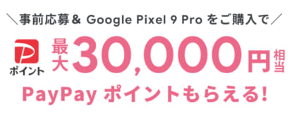 Google Pixel 9 Pro購入者特典