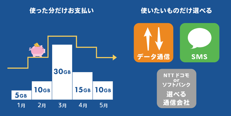 HISモバイルの「ビタッ！プラン」