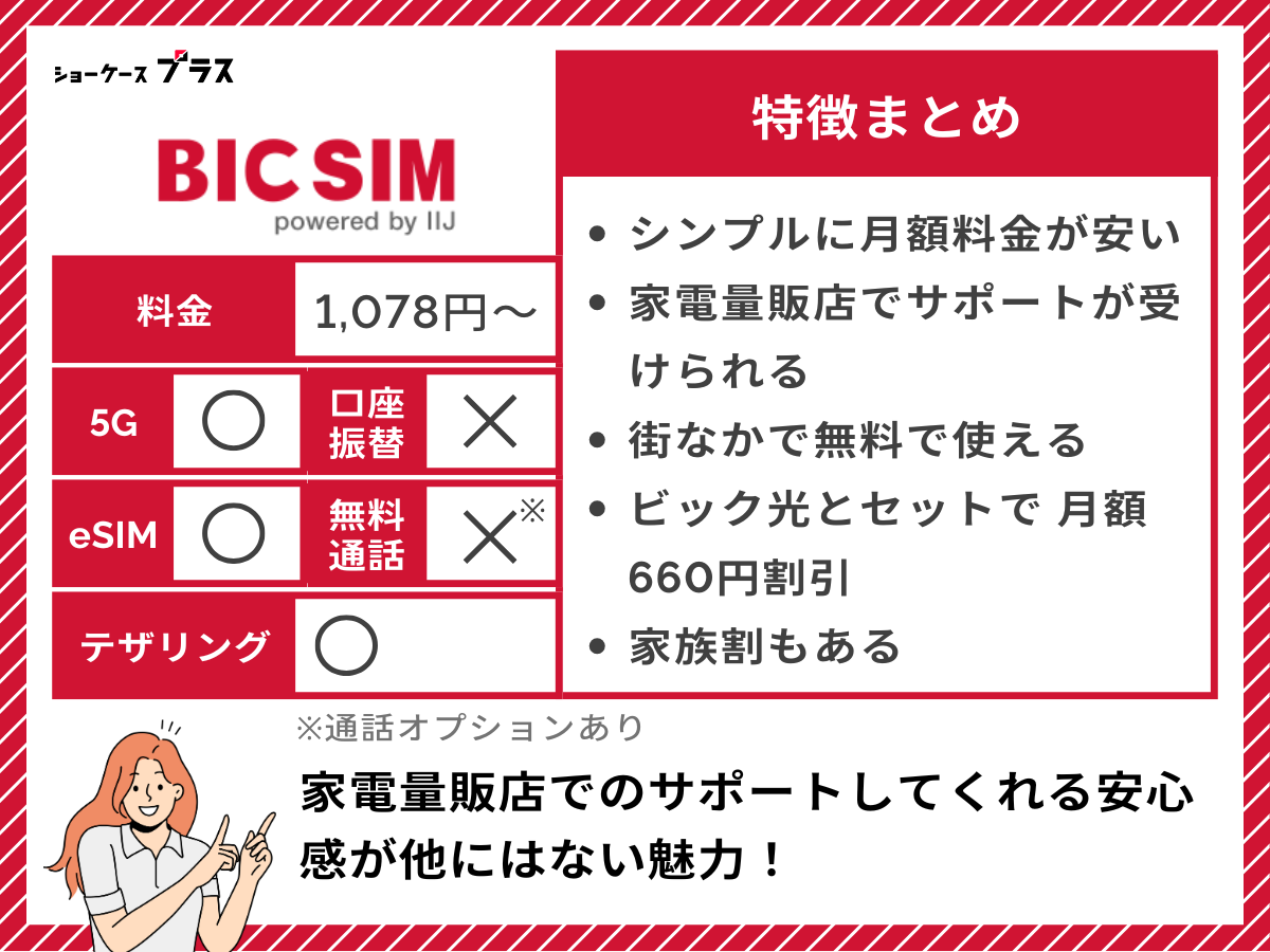 BIC SIMの特徴をまとめて解説