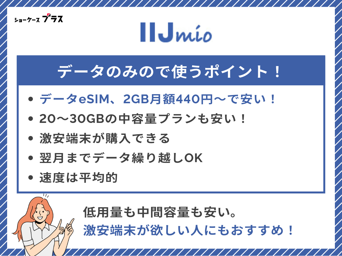 IIJmioのデータSIMを解説