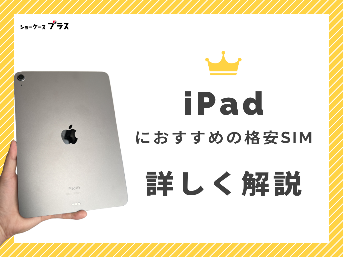 iPadにおすすめの格安SIMを徹底解説