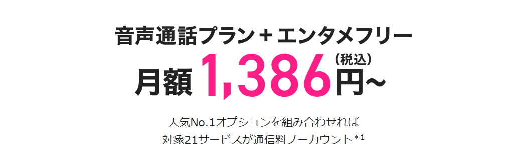 ビッグローブモバイルの月額料金一例